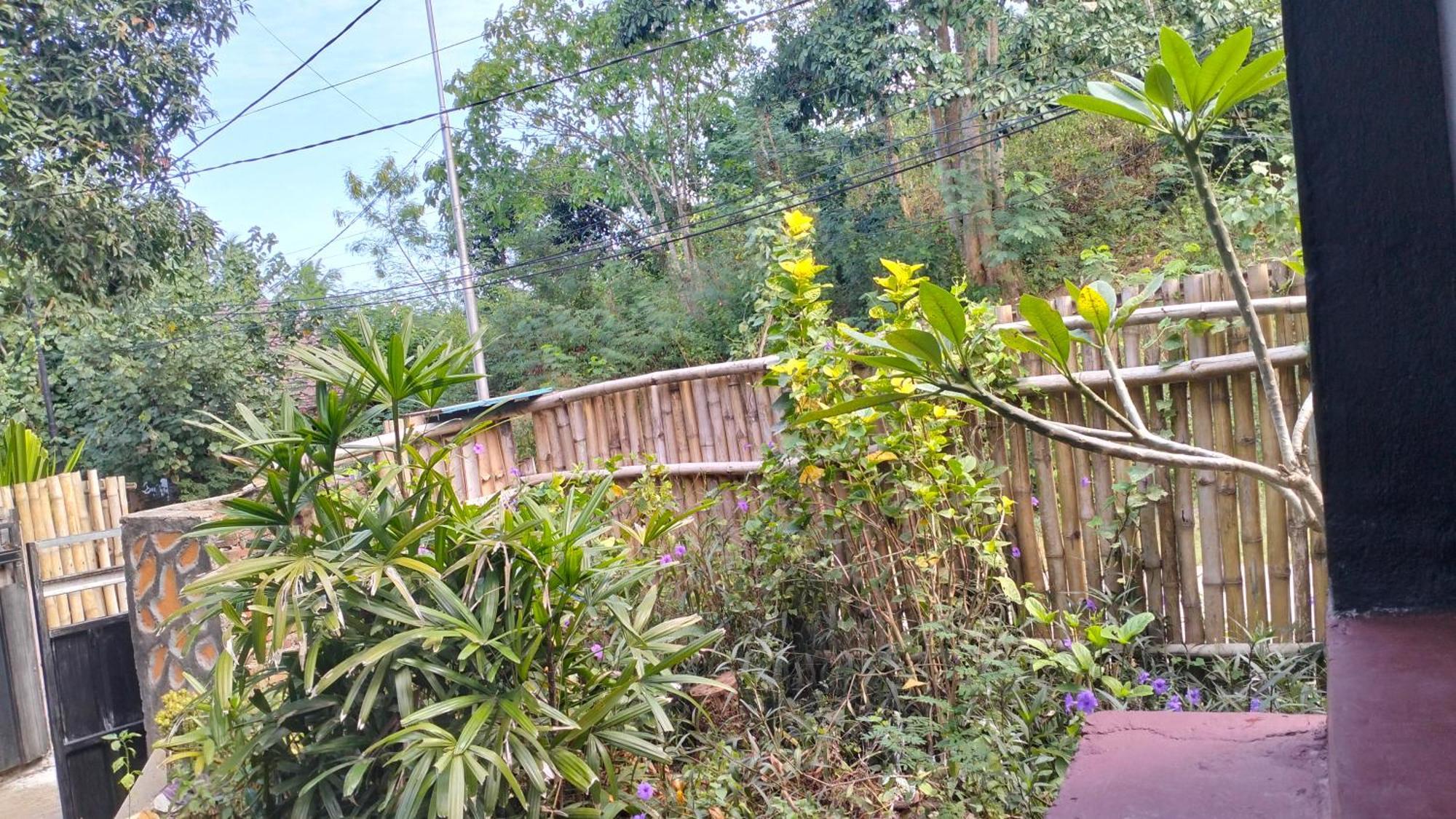 Palm Homestay Kuta Kuta  Exterior foto