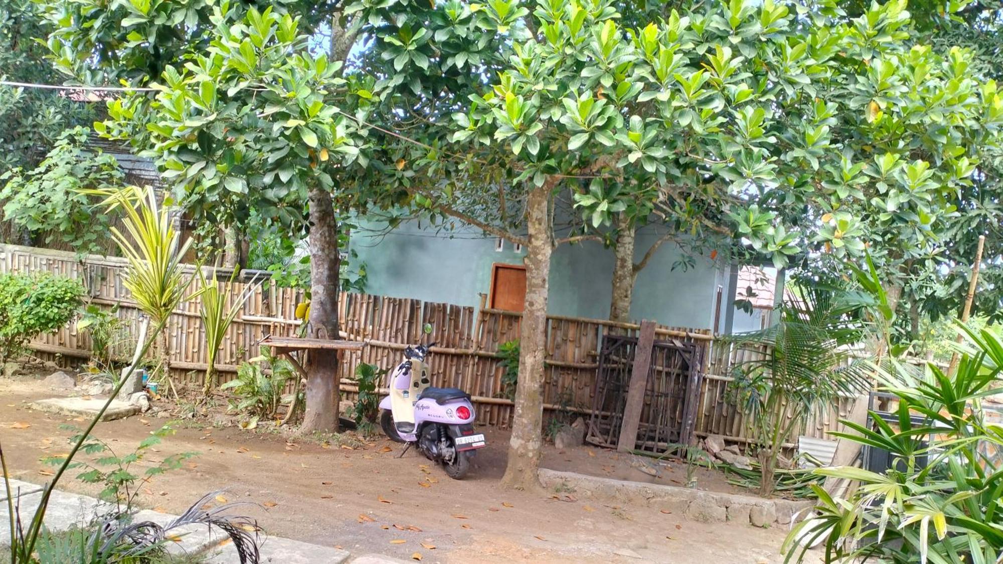 Palm Homestay Kuta Kuta  Exterior foto